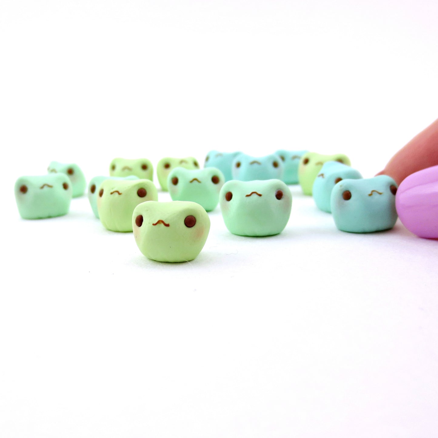 A Small Handful of Frogs (15 Frogs)