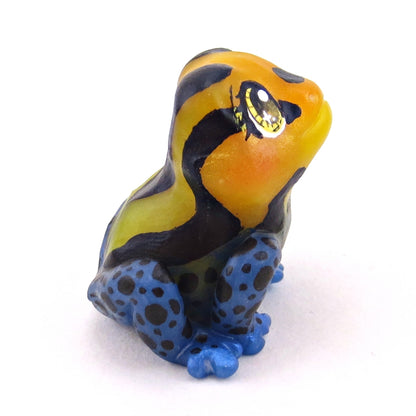 Orange/Yellow/Blue Poison Dart Frog (Ranitomeya Amazonica) Figurine - Polymer Clay Animals Continents Collection