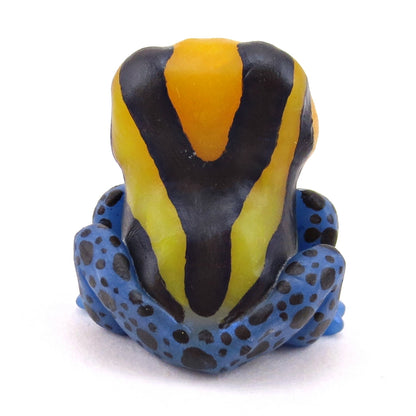 Orange/Yellow/Blue Poison Dart Frog (Ranitomeya Amazonica) Figurine - Polymer Clay Animals Continents Collection