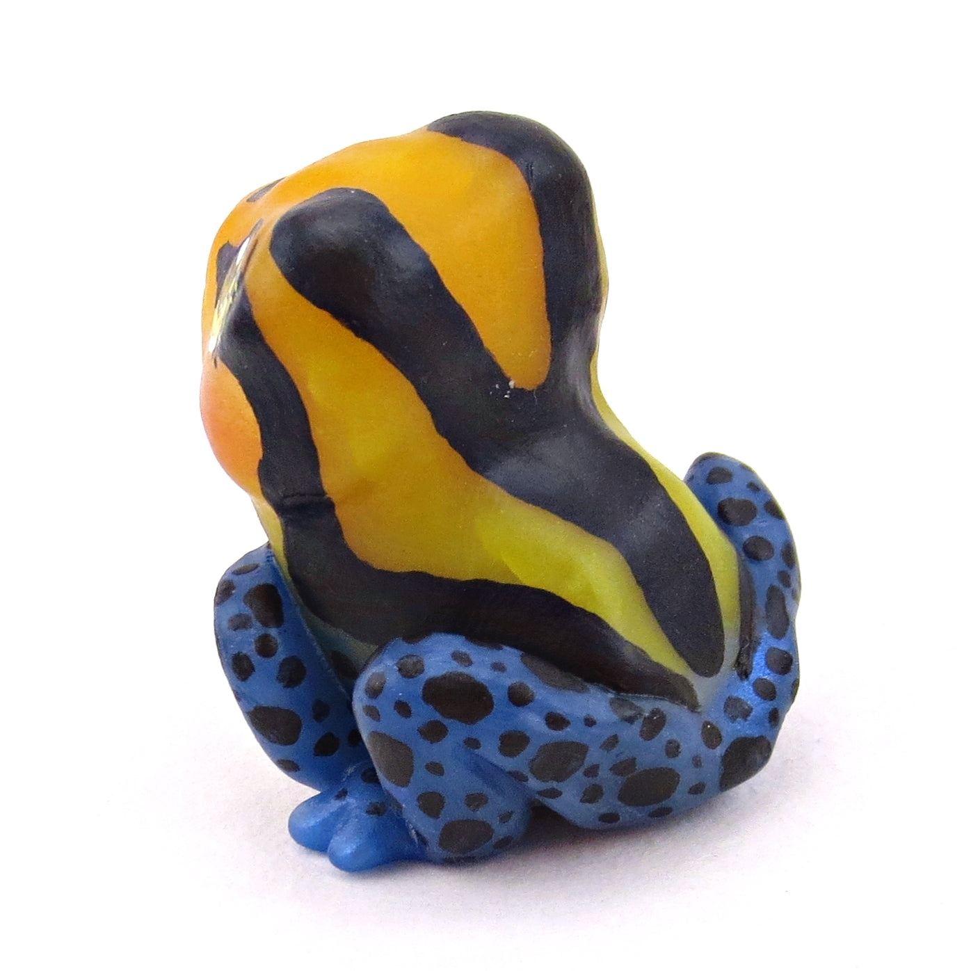 Orange/Yellow/Blue Poison Dart Frog (Ranitomeya Amazonica) Figurine - Polymer Clay Animals Continents Collection