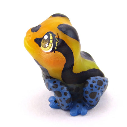 Orange/Yellow/Blue Poison Dart Frog (Ranitomeya Amazonica) Figurine - Polymer Clay Animals Continents Collection