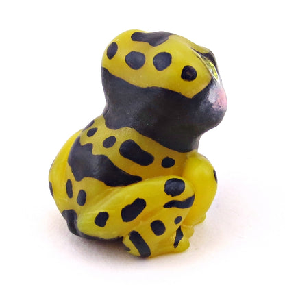 Yellow-Banded Poison Dart Frog Figurine - Polymer Clay Animals Continents Collection