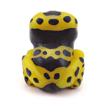 Yellow-Banded Poison Dart Frog Figurine - Polymer Clay Animals Continents Collection