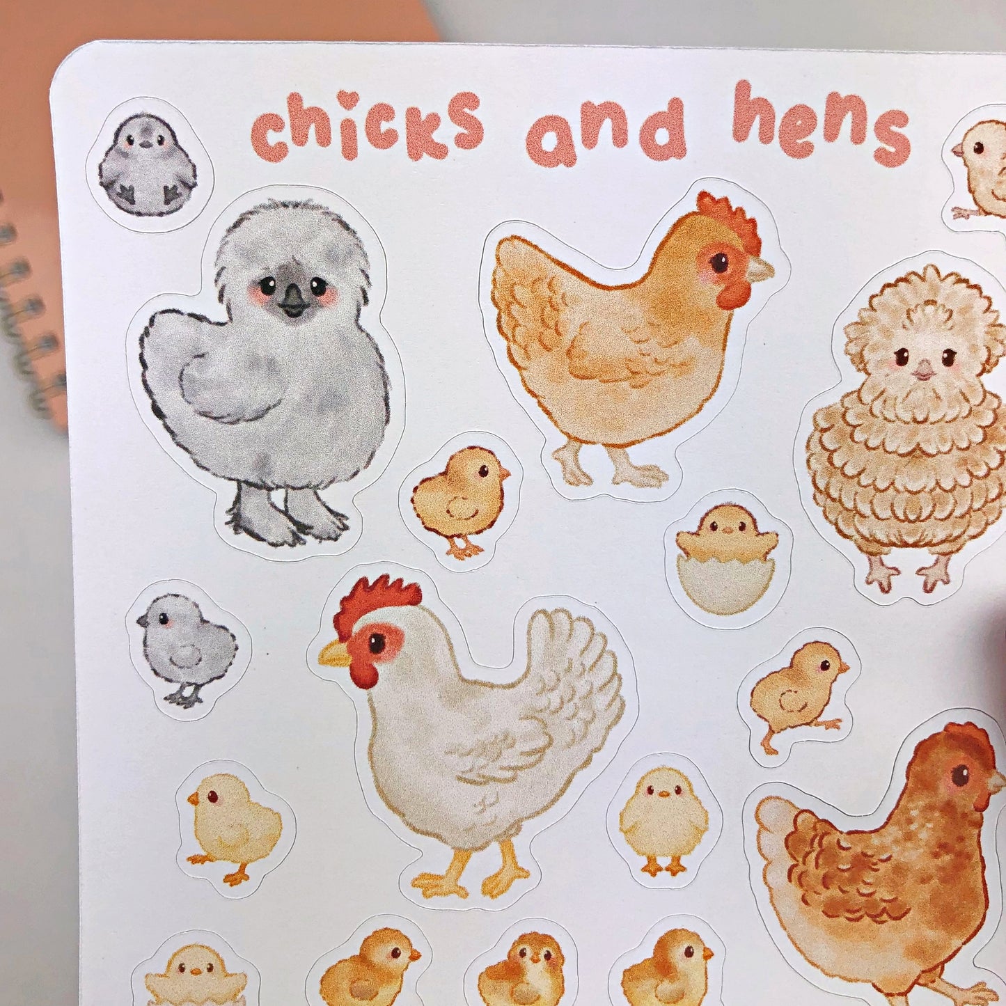 Chicks and Hens Sticker Sheet