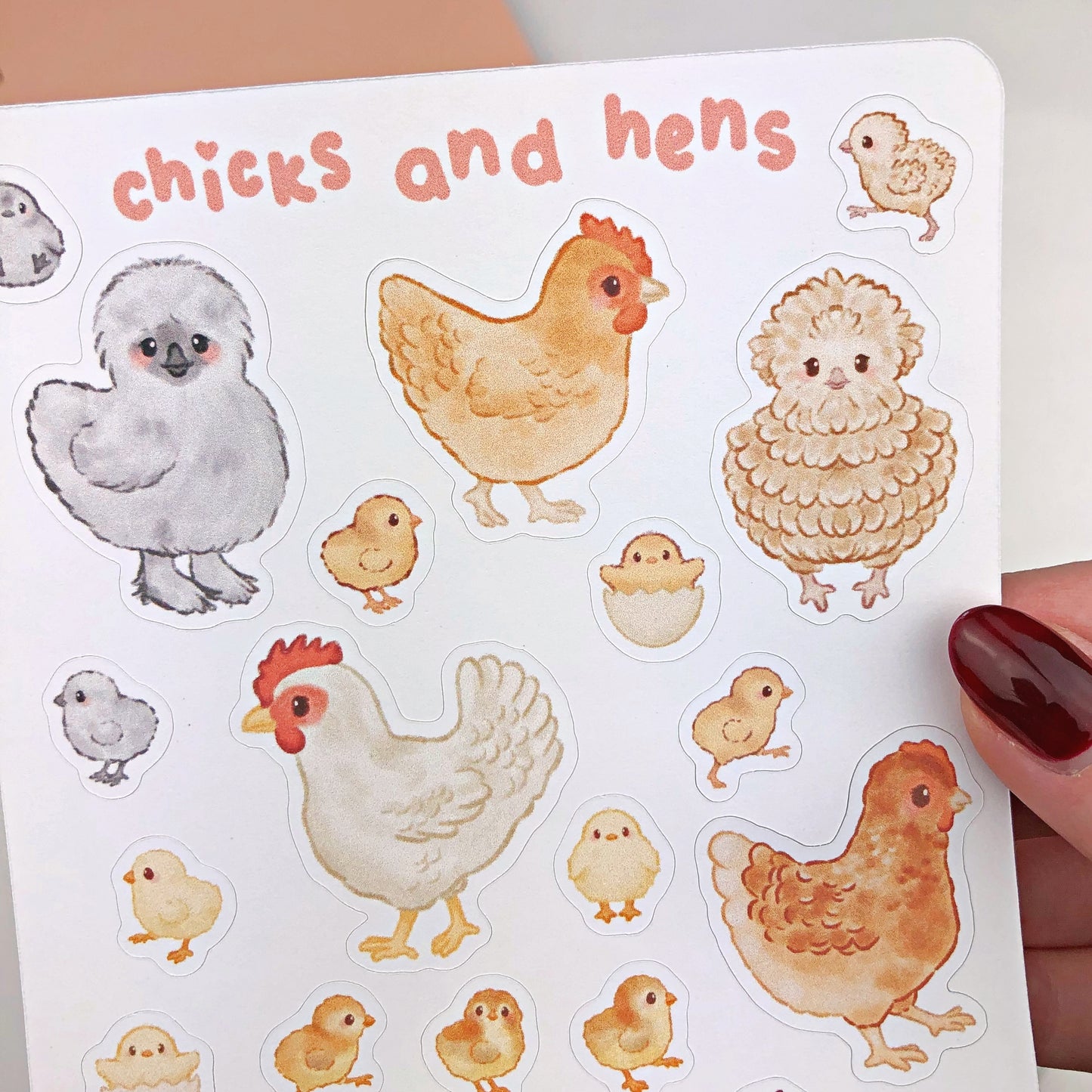 Chicks and Hens Sticker Sheet