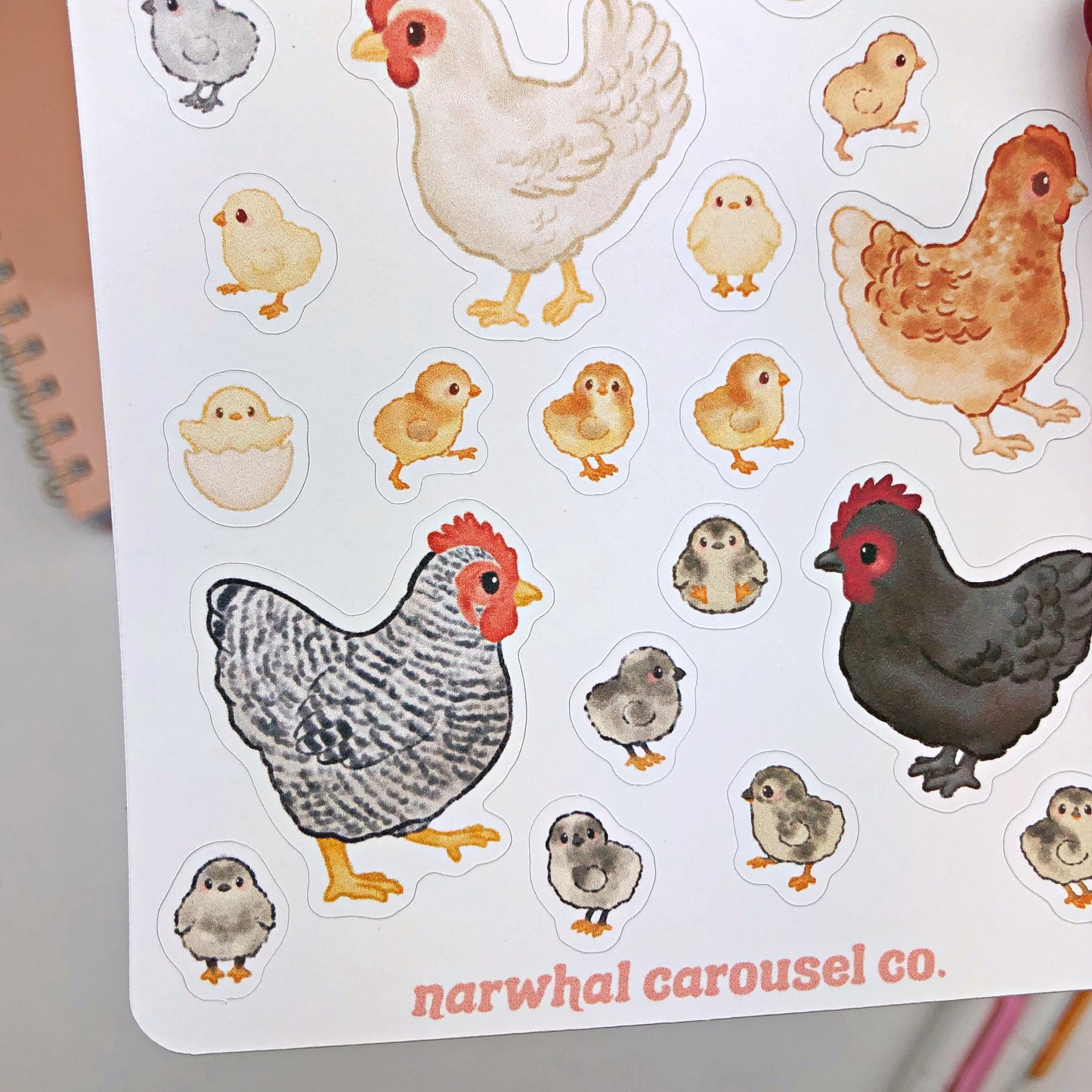 Chicks and Hens Sticker Sheet