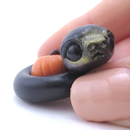 Black Pumpkin Hugger Snake Figurine - Polymer Clay Fall Animals