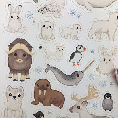 Arctic and Antarctic Animals Sticker Sheet