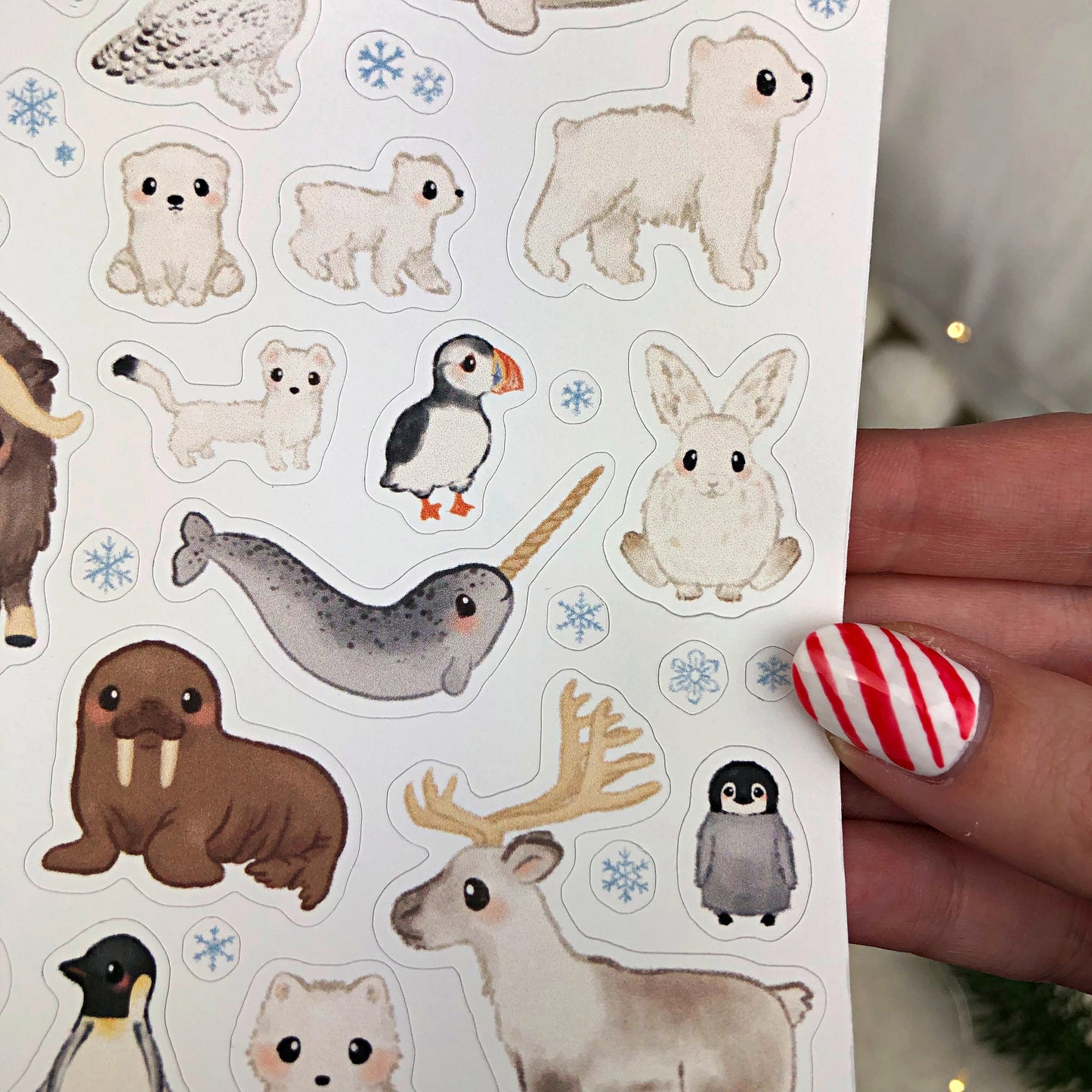 Arctic and Antarctic Animals Sticker Sheet