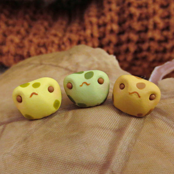 A Tiny Toad Trio