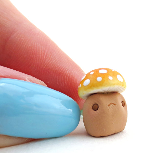 Mini Mushroom Toad