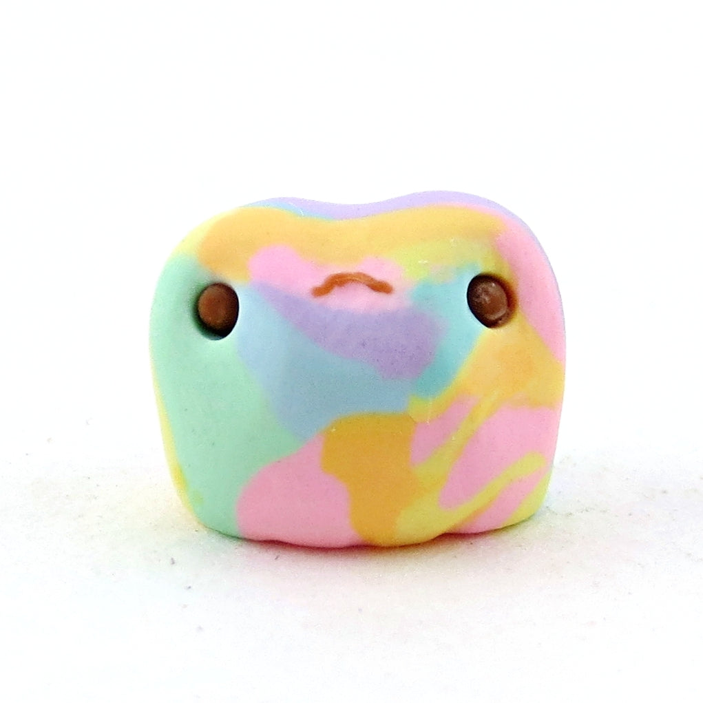 Mini Rainbow Frog