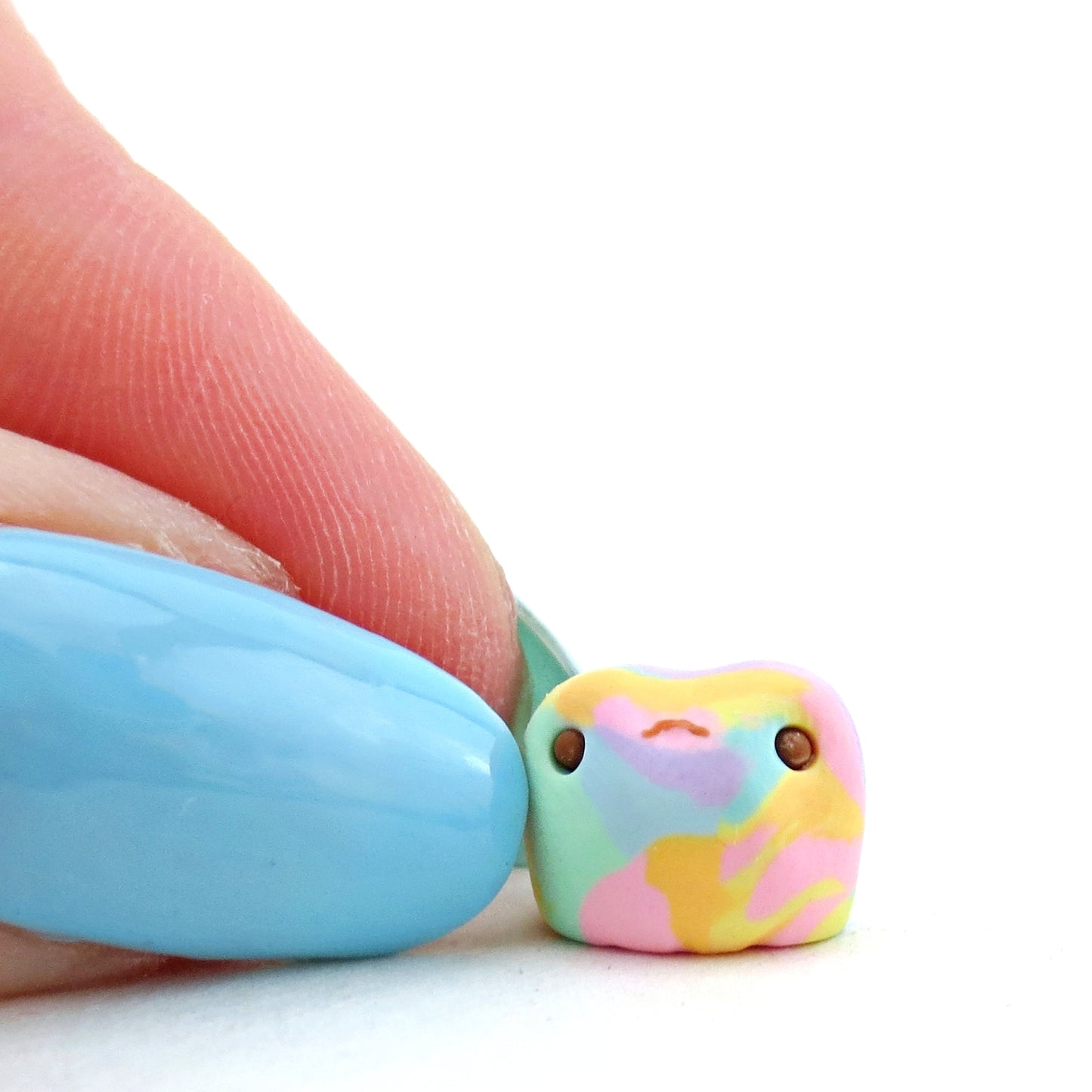 Mini Rainbow Frog