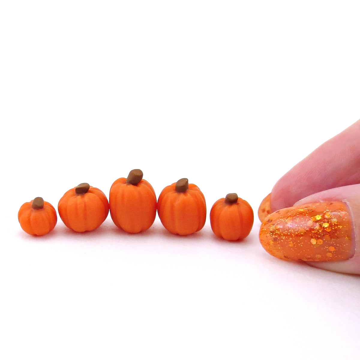 Mini Pumpkin Set - 5 Teeny Tiny Pumpkins! – Narwhal Carousel Co.