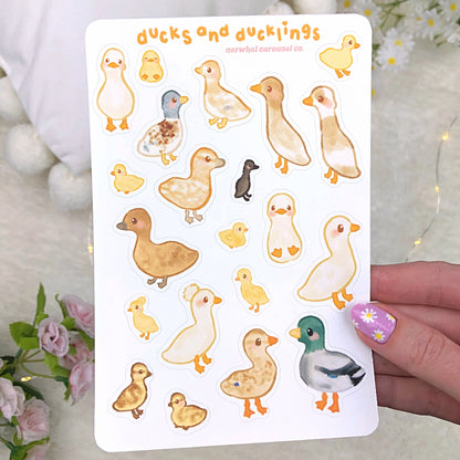 Ducks and Ducklings Sticker Sheet