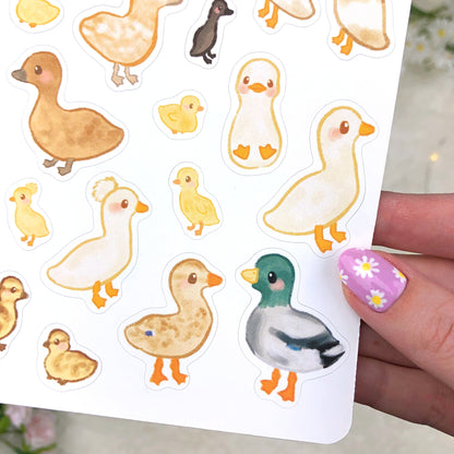 Ducks and Ducklings Sticker Sheet