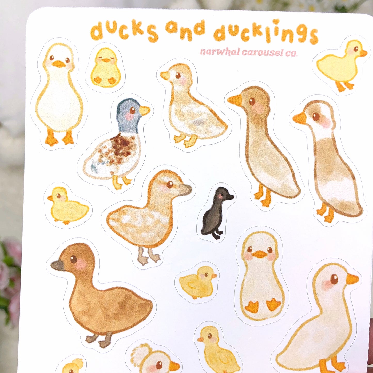 Ducks and Ducklings Sticker Sheet