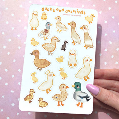 Ducks and Ducklings Sticker Sheet