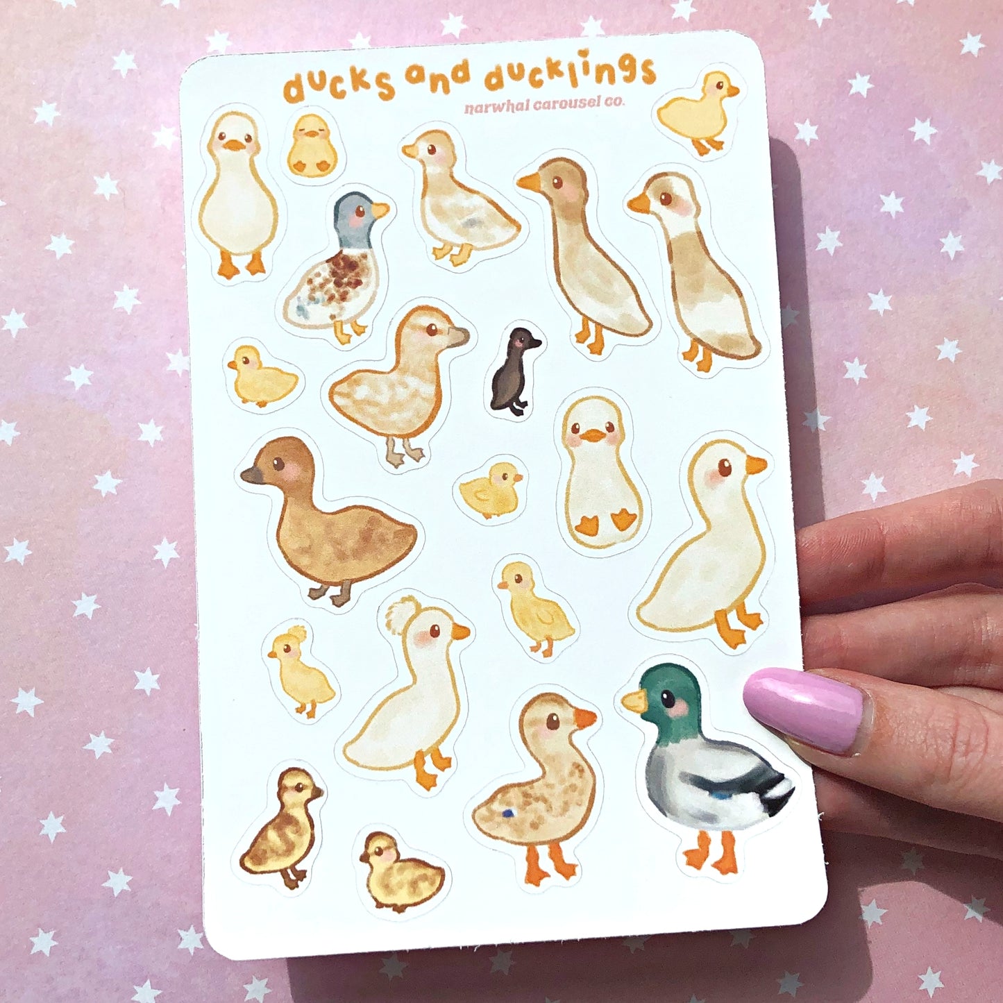 Ducks and Ducklings Sticker Sheet