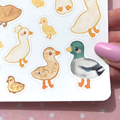 Ducks and Ducklings Sticker Sheet