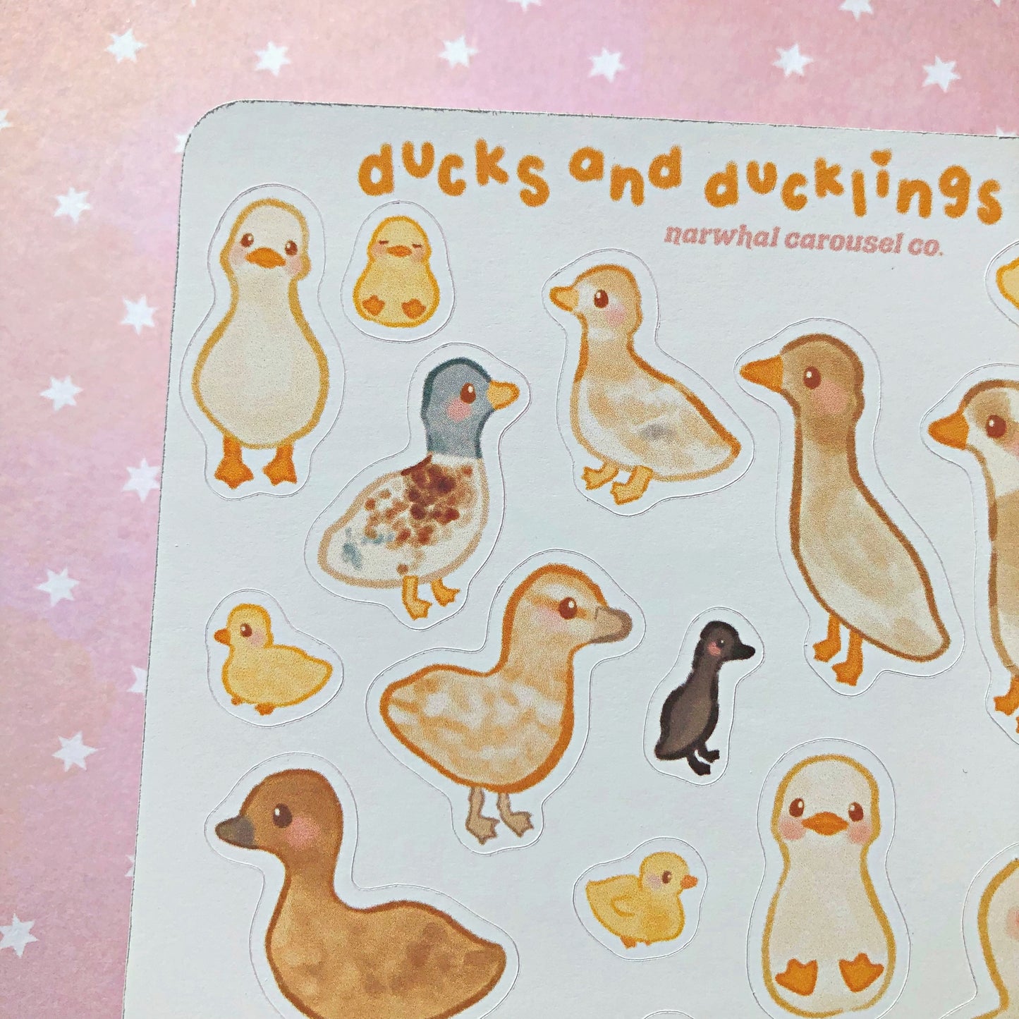 Ducks and Ducklings Sticker Sheet