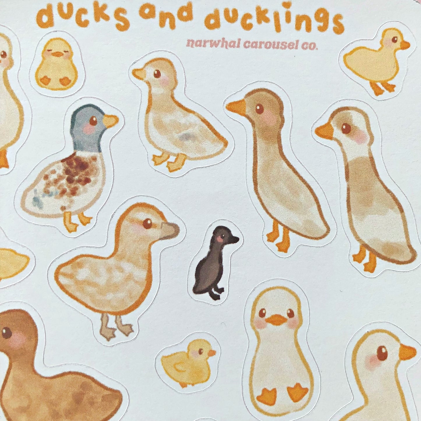 Ducks and Ducklings Sticker Sheet