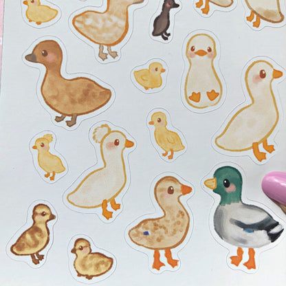 Ducks and Ducklings Sticker Sheet