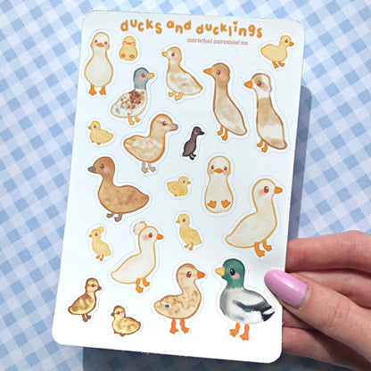 Ducks and Ducklings Sticker Sheet