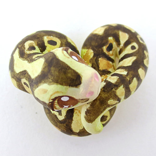 Baby Python Snake Figurine - Polymer Clay Tropical Animals